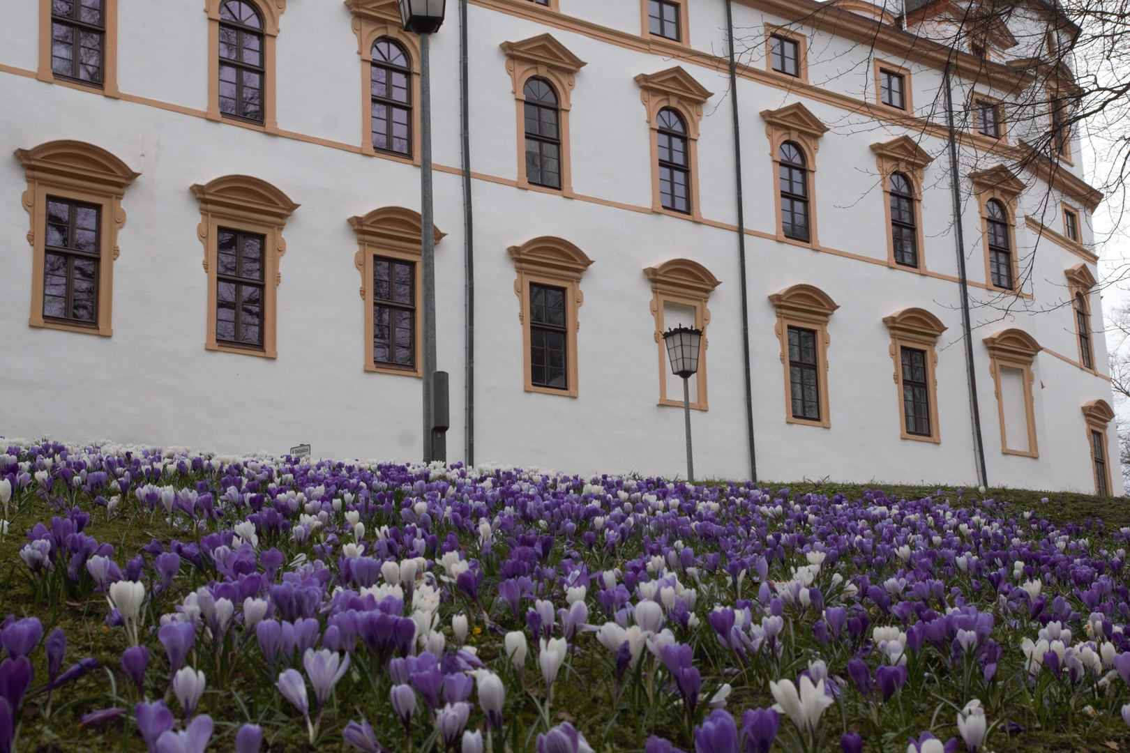 schloss celle frühling