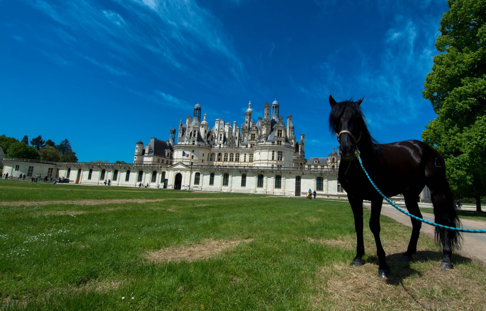 Schloss Chambord Foto & Bild architektur, stilepochen, motive Bilder