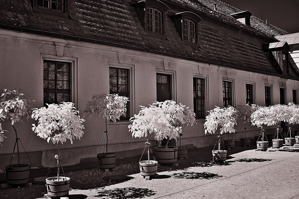 Schloss Charlottenburg (Nebengelass)