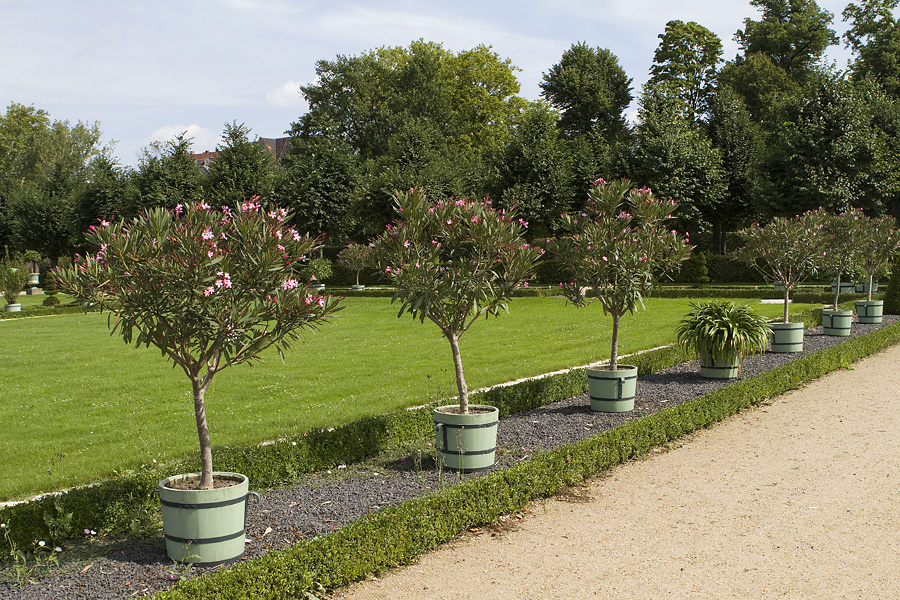 Schloss Charlottenburg VII