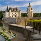 Schloss Chenonceau III - Loire/Frankreich