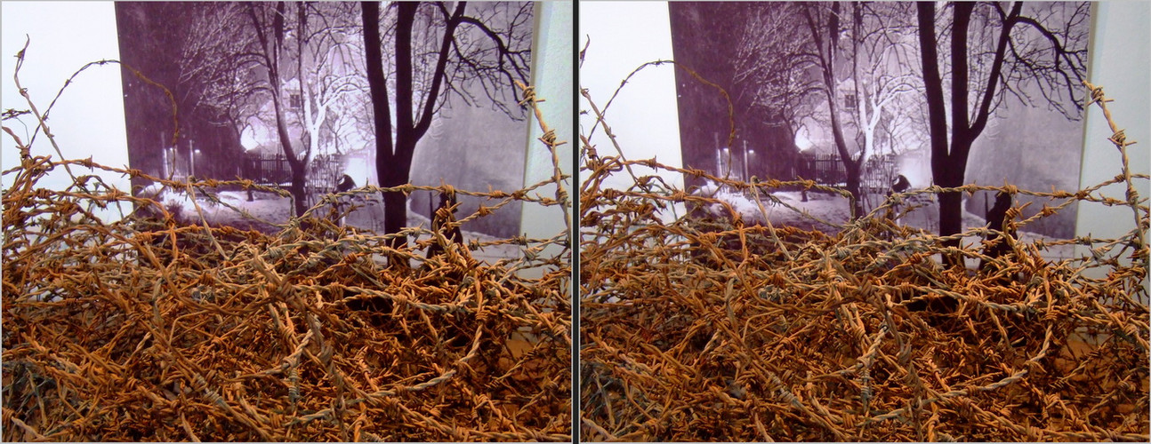 Schloss Colditz (Kreuzblick-Stereo-Foto)