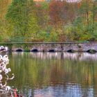 Schloss Crottorf .... Erinnerungen an den letzten Herbst