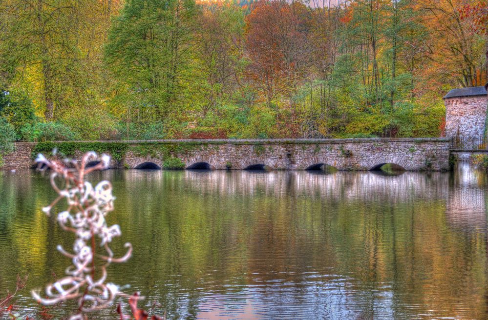 Schloss Crottorf .... Erinnerungen an den letzten Herbst