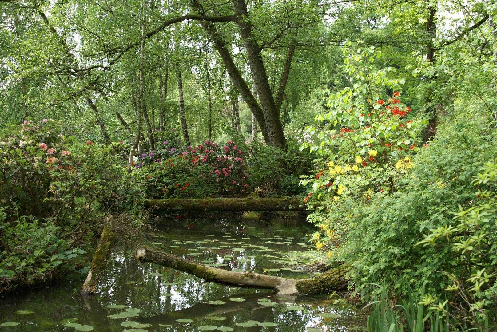 Schloss Dennenlohe  