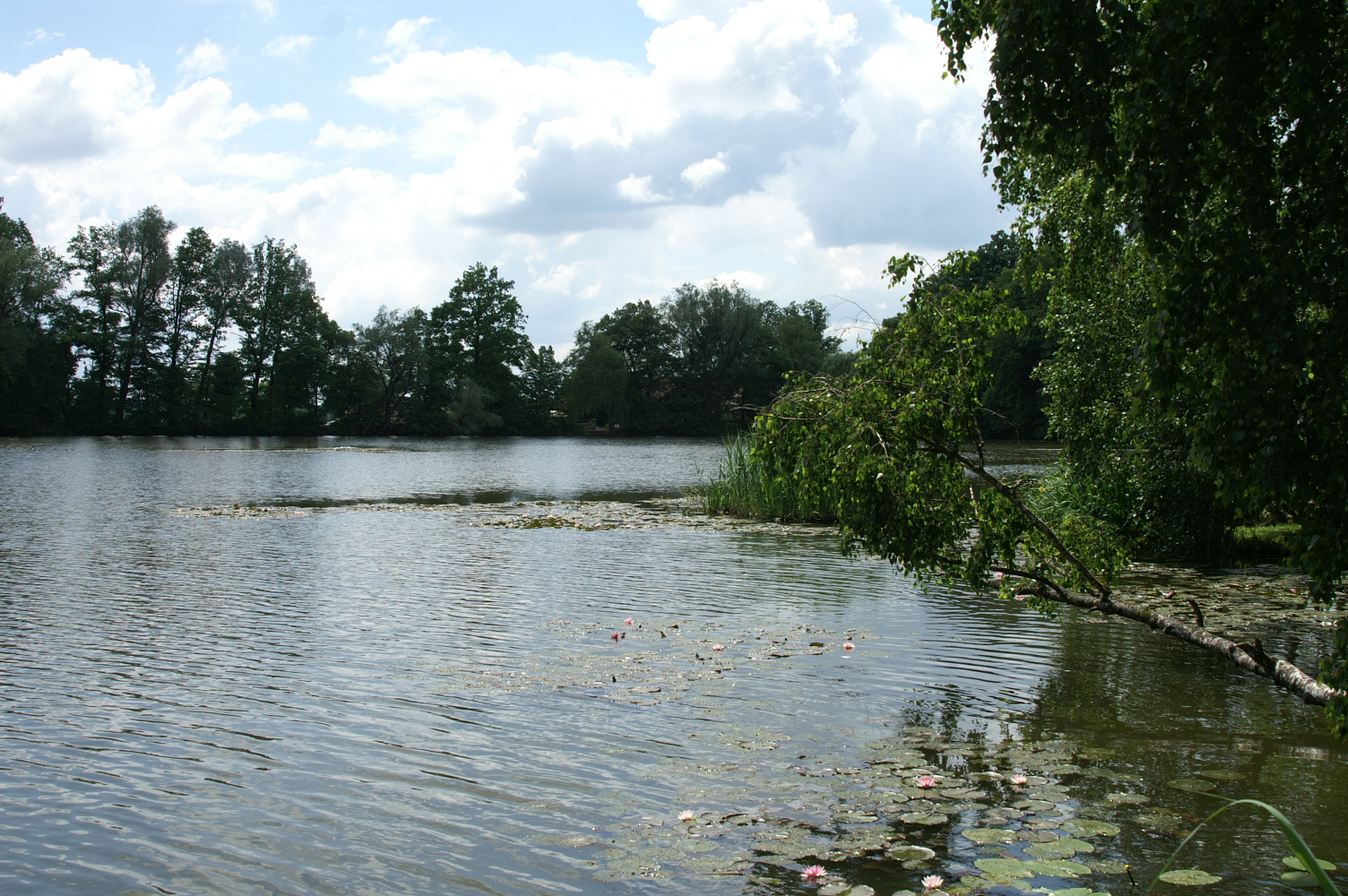 Schloss Dennenlohe  