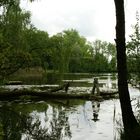 Schloss Dennenlohe  