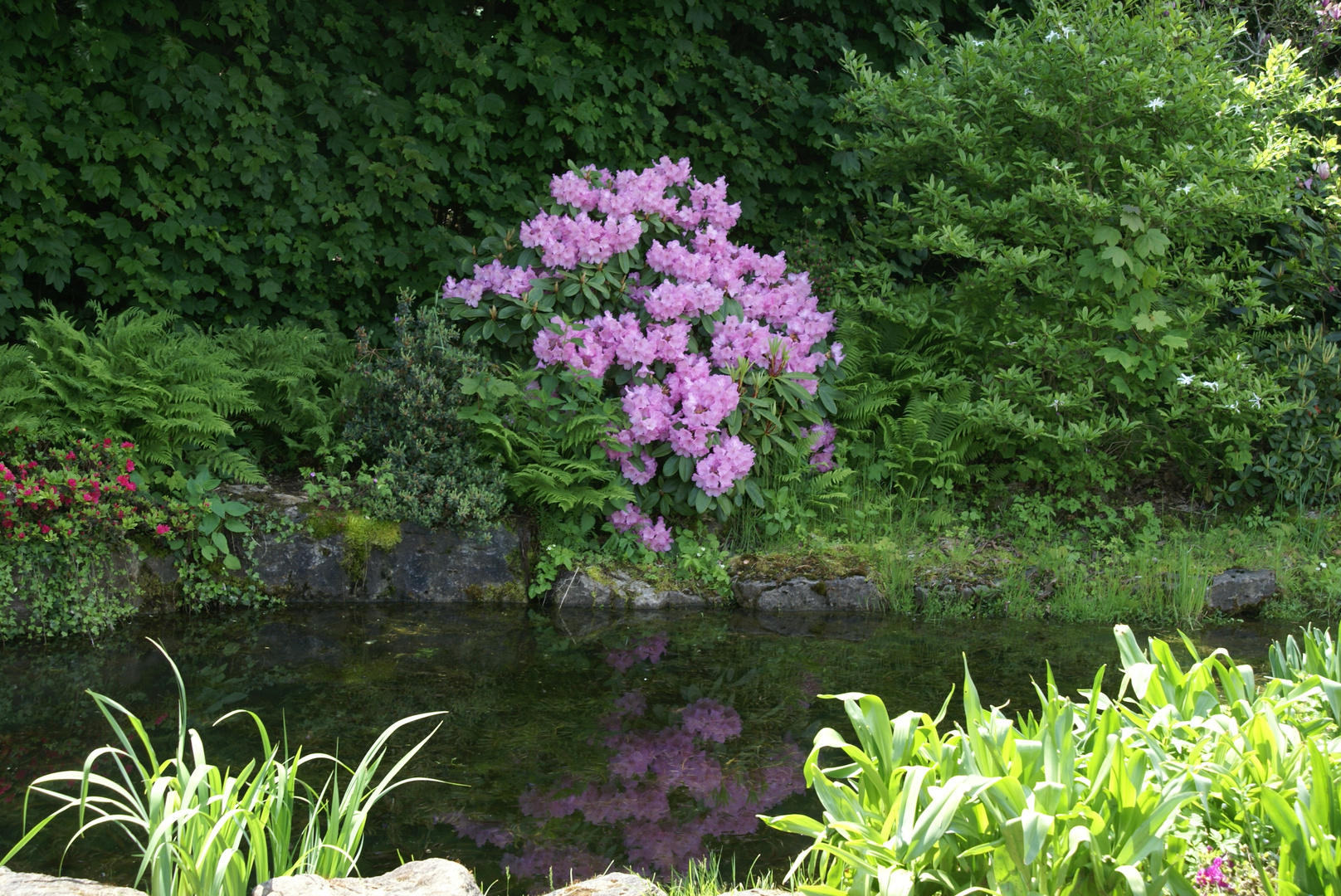 Schloss Dennenlohe  