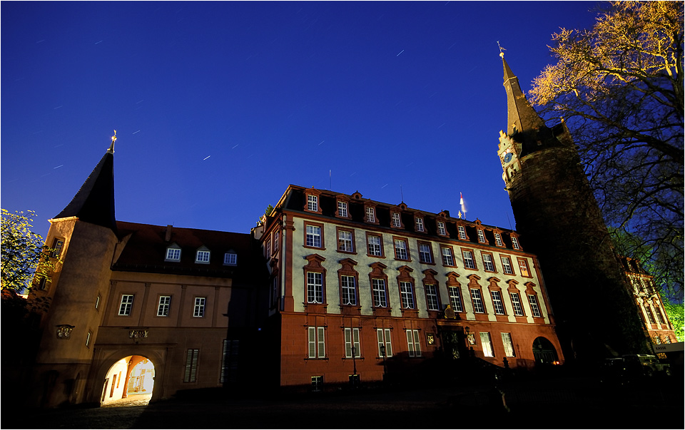 Schloss der Grafen von Erbach-Erbach