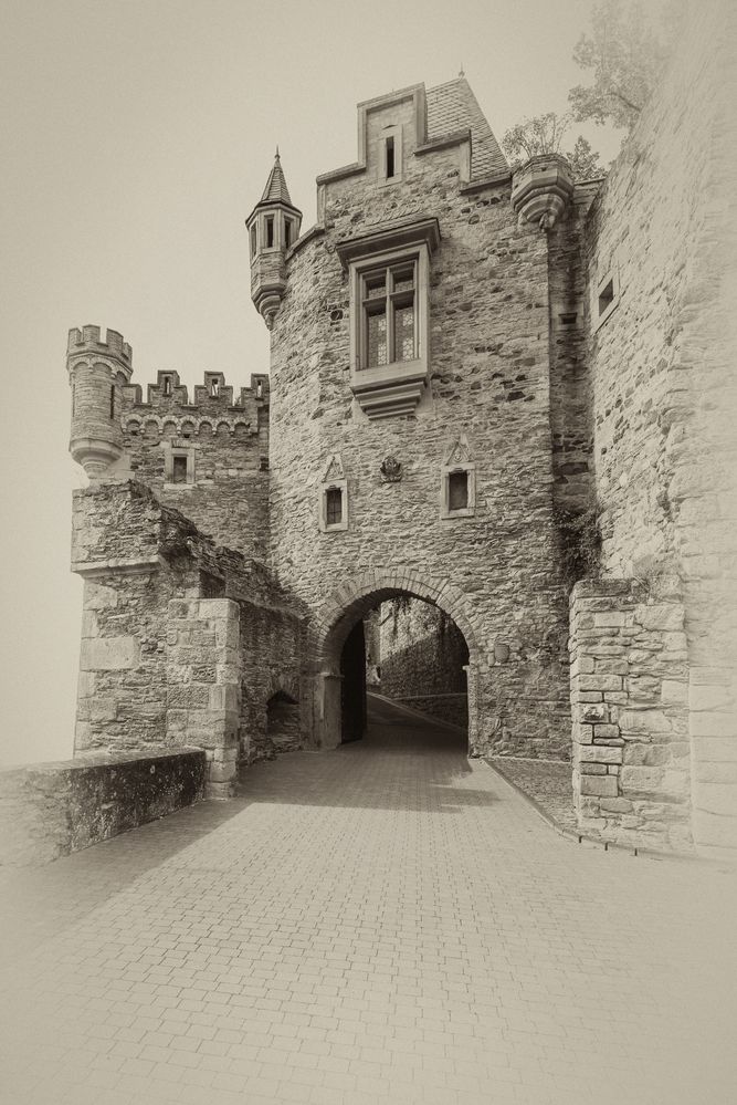 Schloss Dhaun-Haupteingang 8