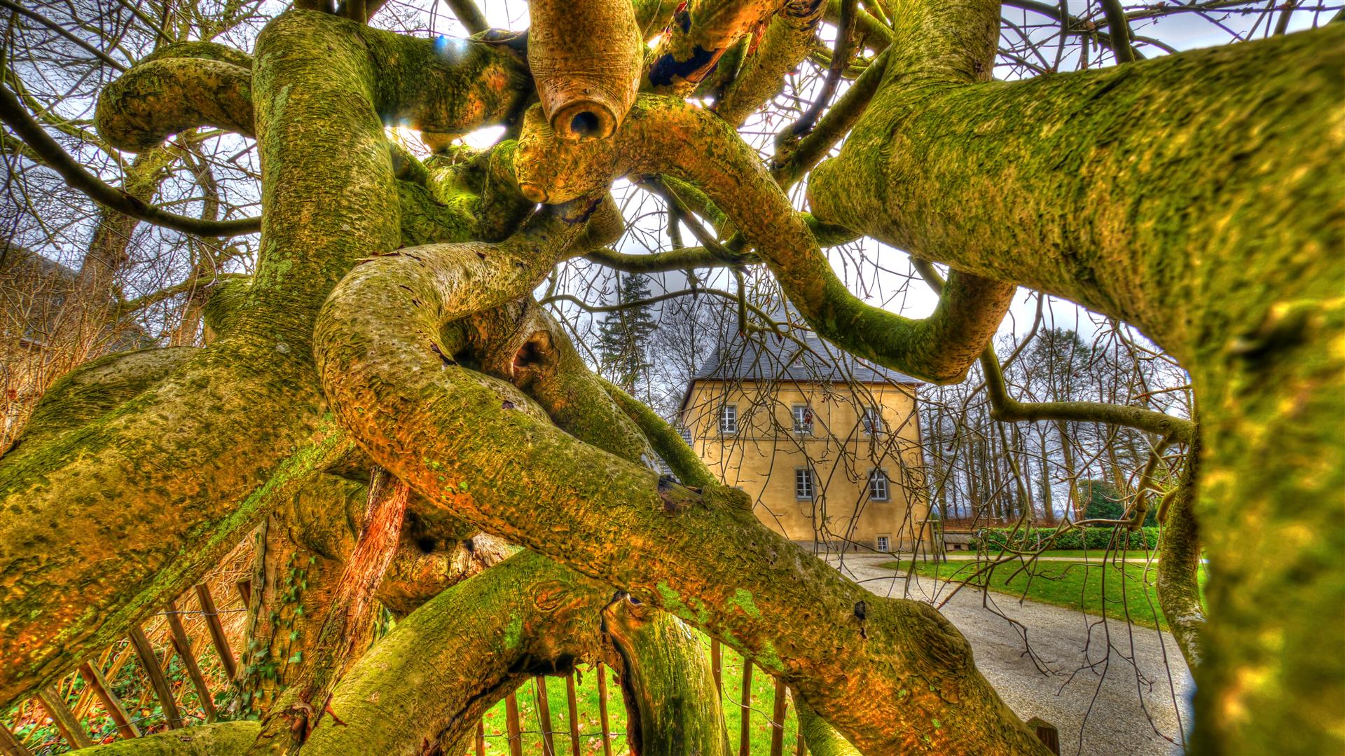 Schloss Dornröschen