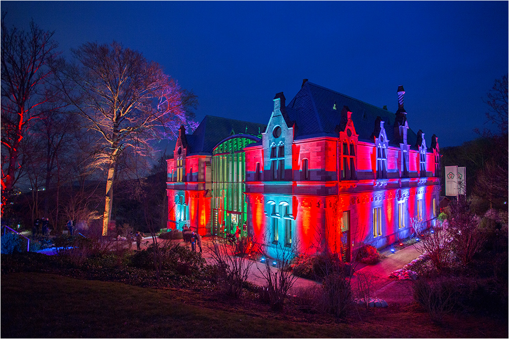 Schloß Drachenburg 11