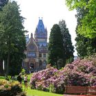 Schloss Drachenburg III