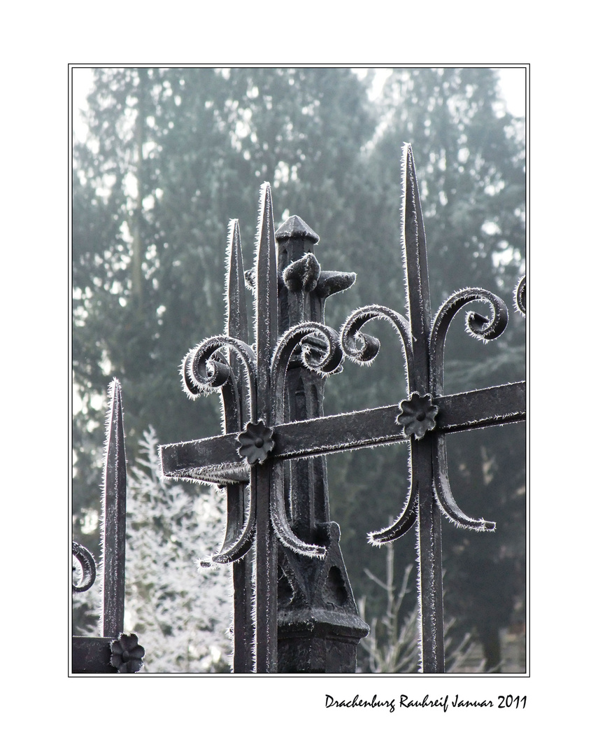 Schloß Drachenburg Januar 2011