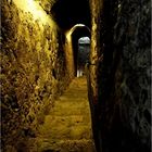 Schloss Dracula (Schloss Bran) - Aufstieg aus der Gruft