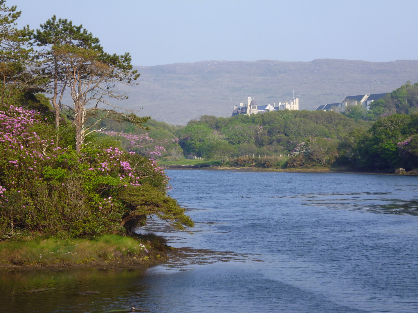 Schloss Dunboy in Irland