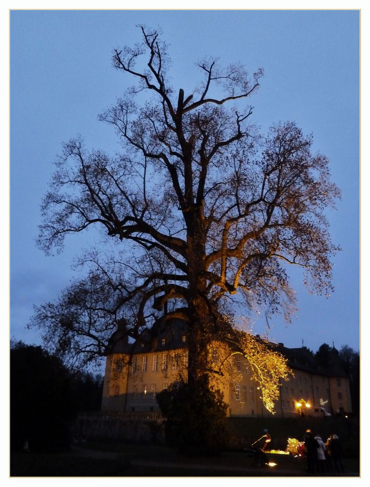 Schloss Dyck