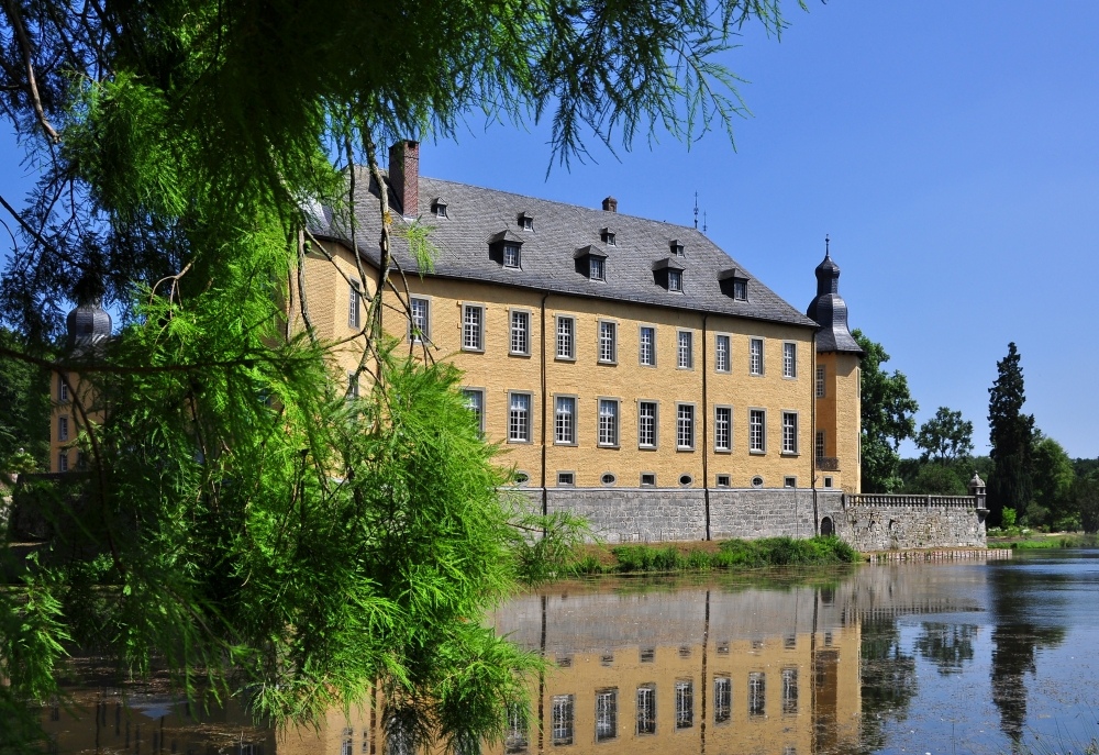 Schloss Dyck durch die Zweige der Sumpfzypresse gesehen....