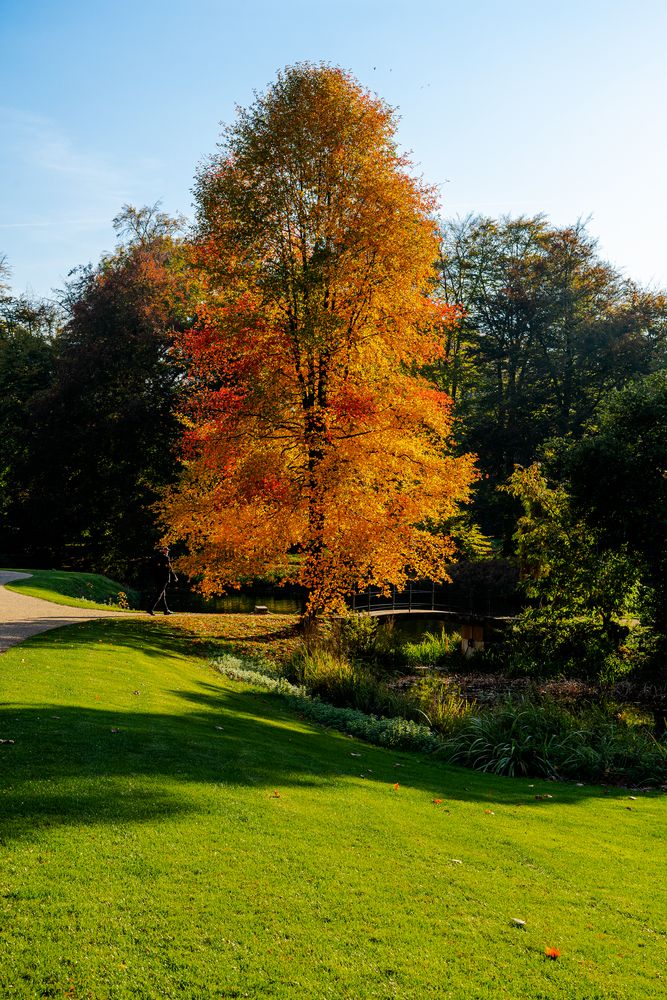 Schloss Dyck im Herbst 2