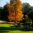 Schloss Dyck im Herbst 2