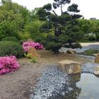 Schloss-Dyck Japanischer Garten