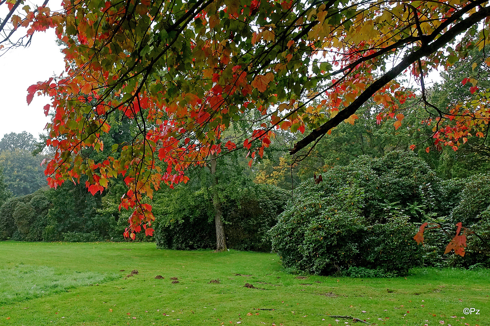 Schloss Dyck: Laubfärbung im Herbst ...