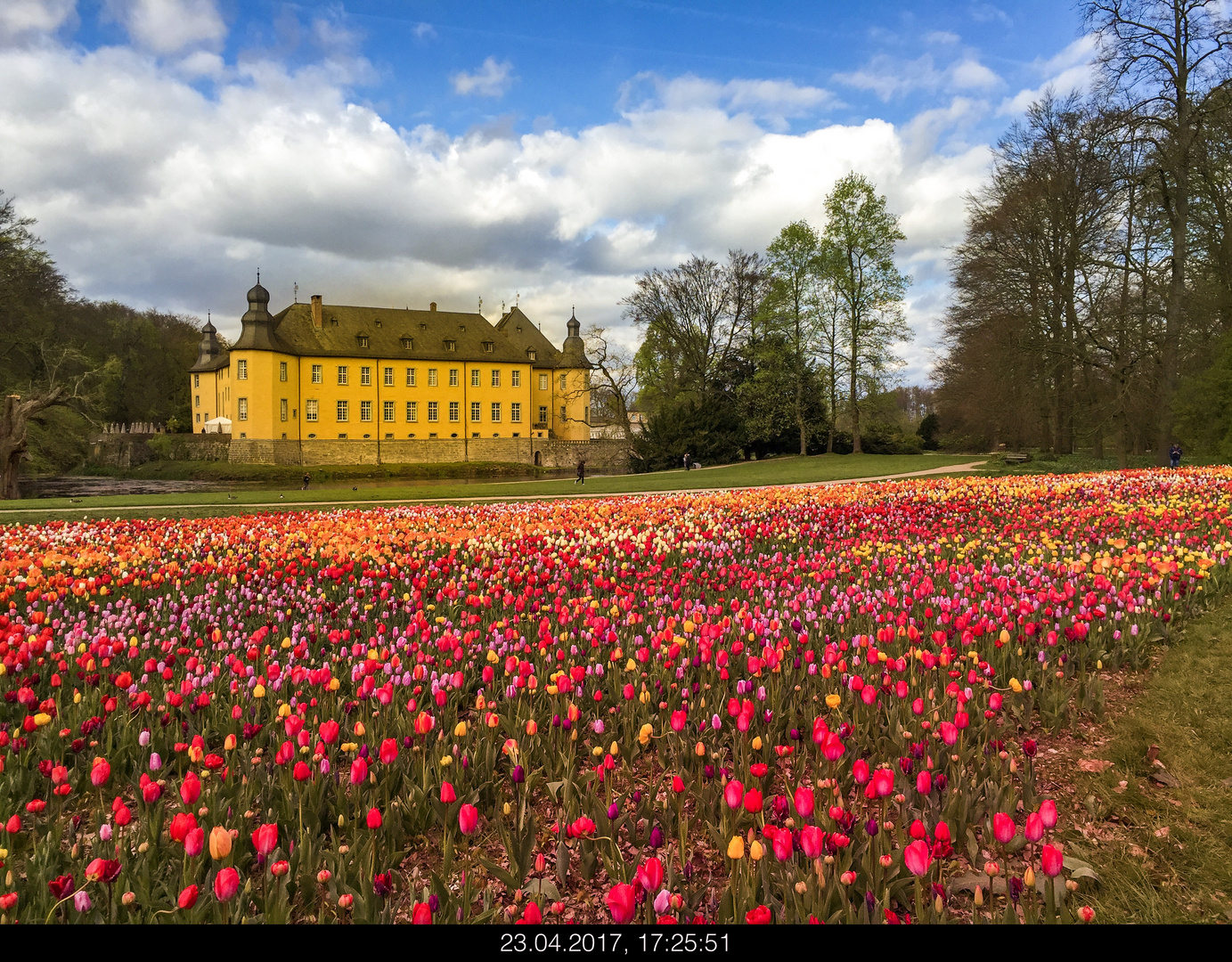 Schloss Dyck mit Blumenmeer