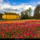 Schloss Dyck mit Blumenmeer