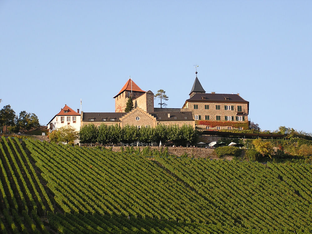 Schloss Eberstein mit Weinberg