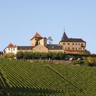 Schloss Eberstein mit Weinberg