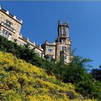 Schloss Eckberg an der Elbe.