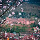 Schloss eingerahmt in rosa Blüten