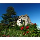 Schloss Englar/Südtirol