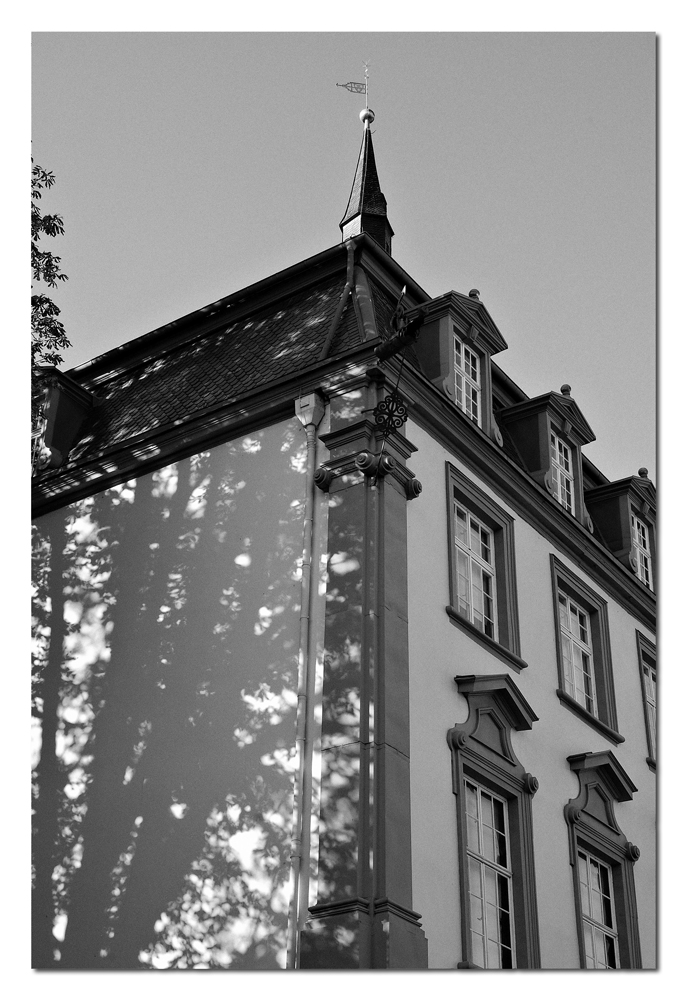 Schloss Erbach (Odenwald) - Teilansicht