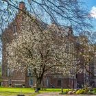 Schloss Erbhof Thedinghausen im Frühling