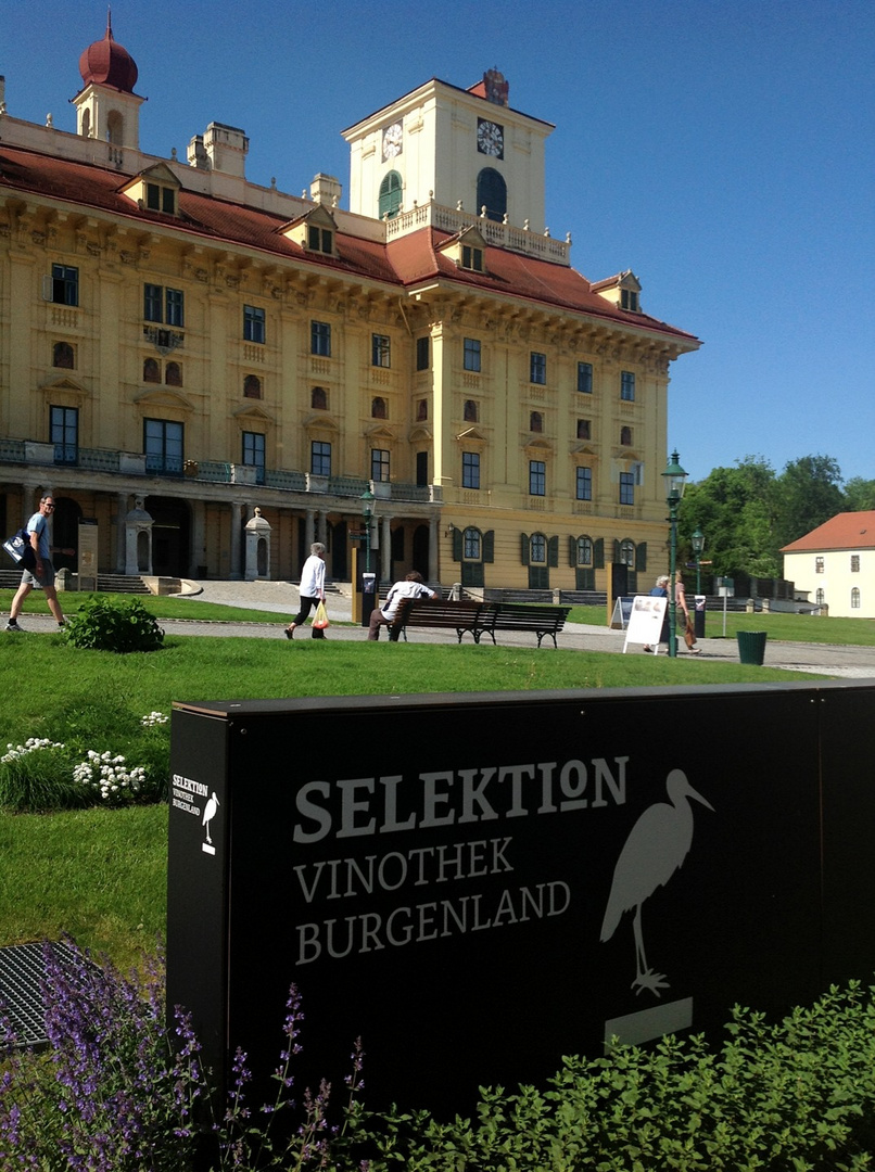 Schloss Esterházy Eisenstadt