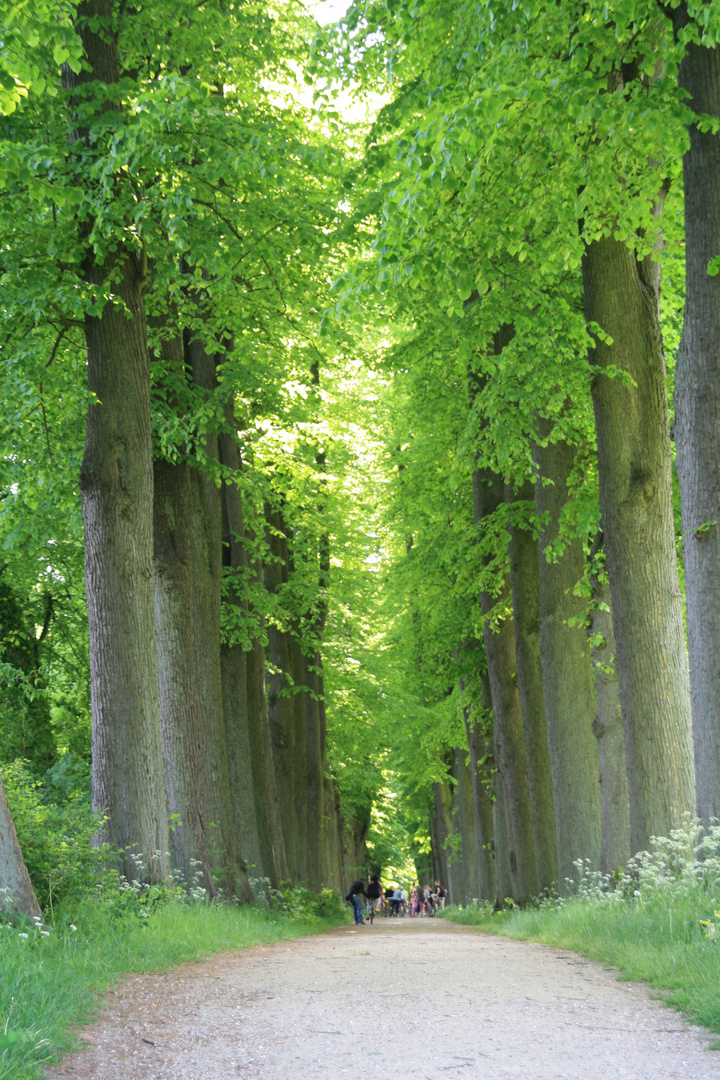 Schloss Eutin