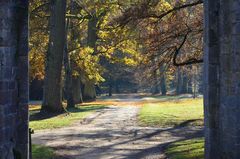 Schloss Fasanerie im Herbst IX