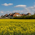 Schloss Fasanerie unter weiß-blauem Himmel