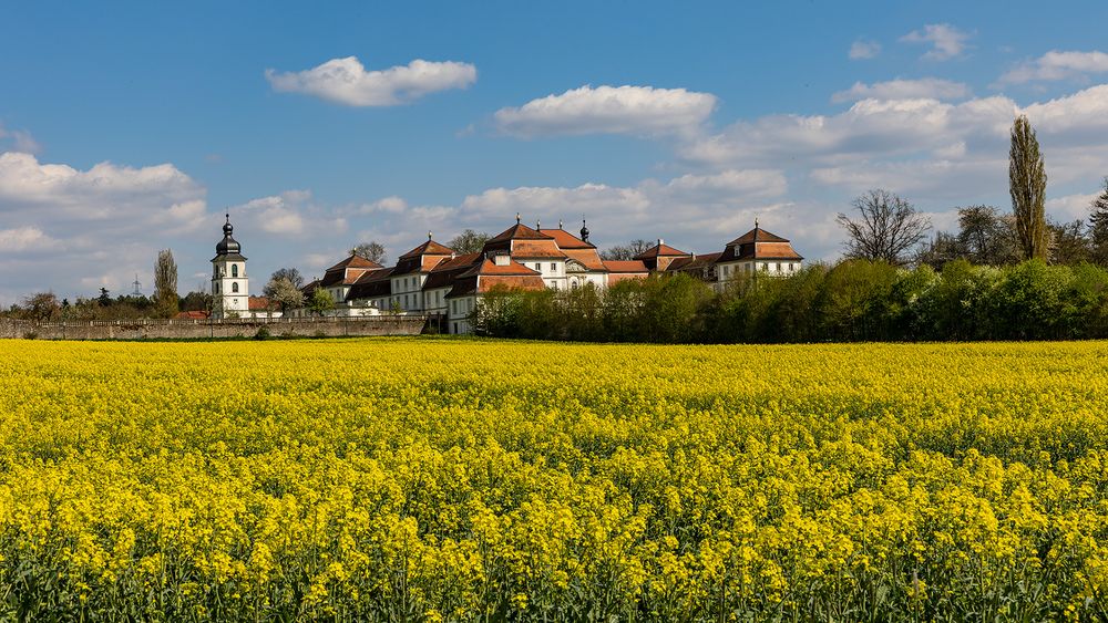 Schloss Fasanerie unter weiß-blauem Himmel