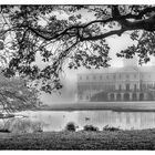 Schloß Favorite im Nebel