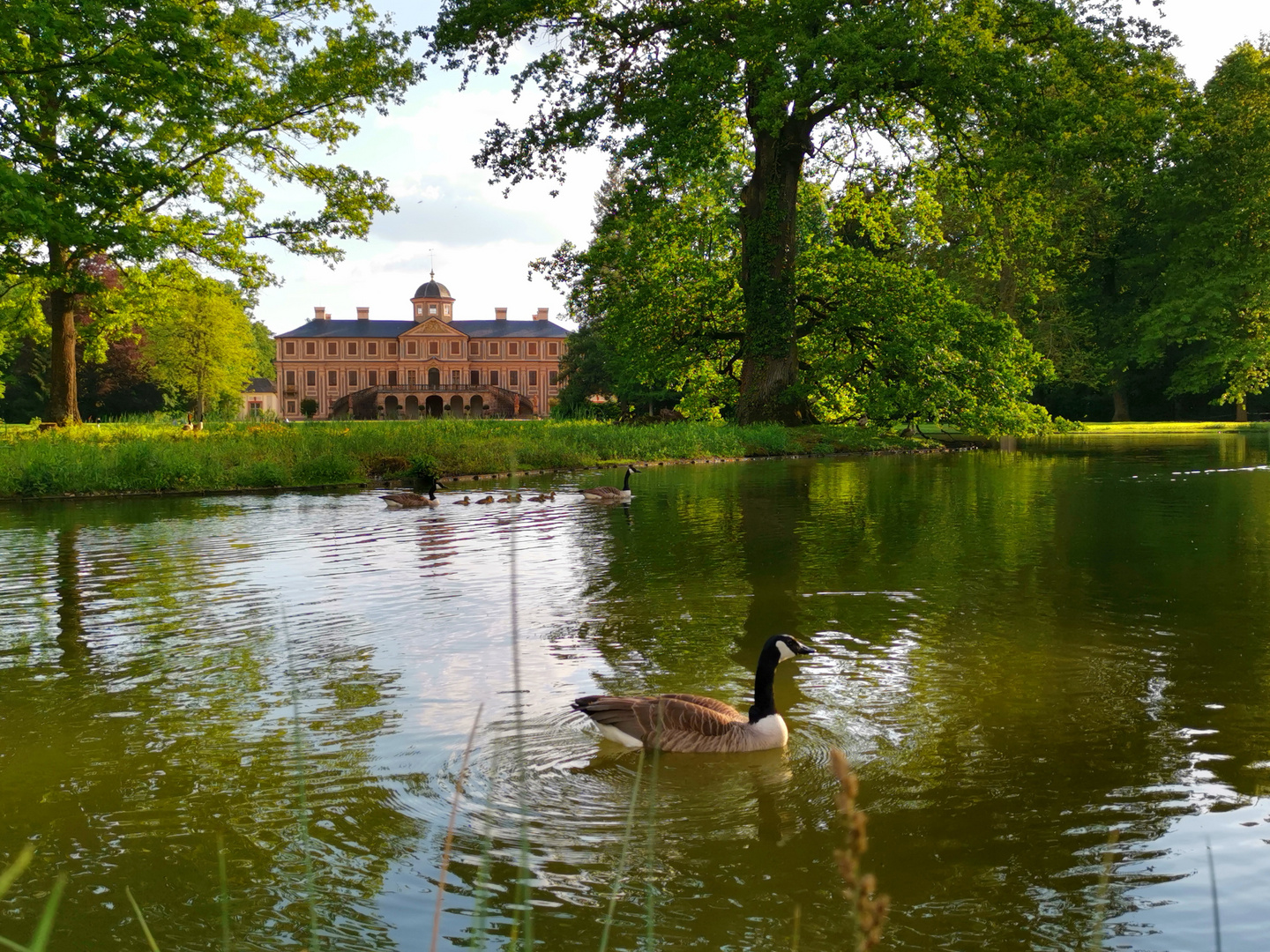 Schloss Favorite in sattem Maigrün