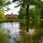 Schloss Favorite in sattem Maigrün