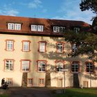 Schloss Flehingen