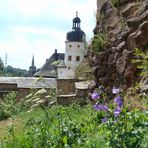 Schloss Frauenstein