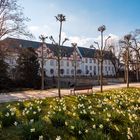 Schloss Friedberg 