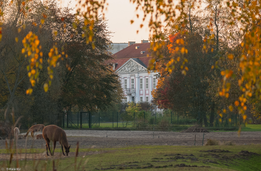 Schloss Friedrichsfelde