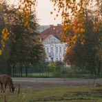 Schloss Friedrichsfelde