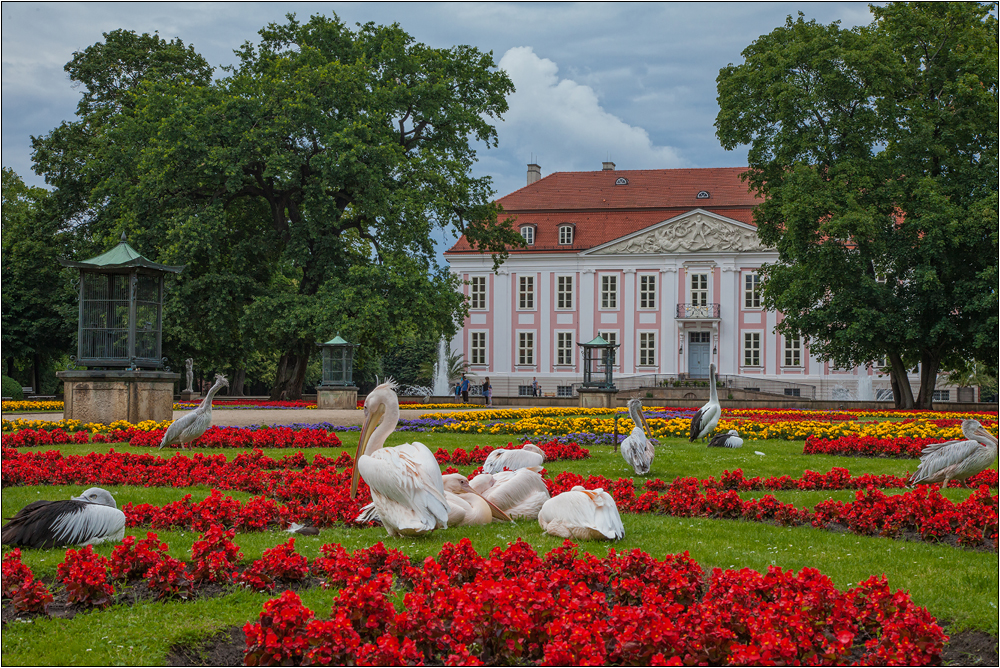 Schloss Friedrichsfelde in Berlin