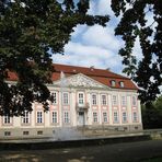 - Schloss Friedrichsfelde - von Bäumen umrankt